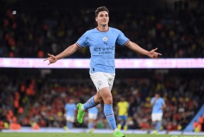 九游游戏盒-多特蒙德吉拉西