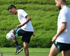 西汉姆训练开放日，赛前调整名单引欢呼，荷甲在即，数据趋势出现新变化的简单介绍