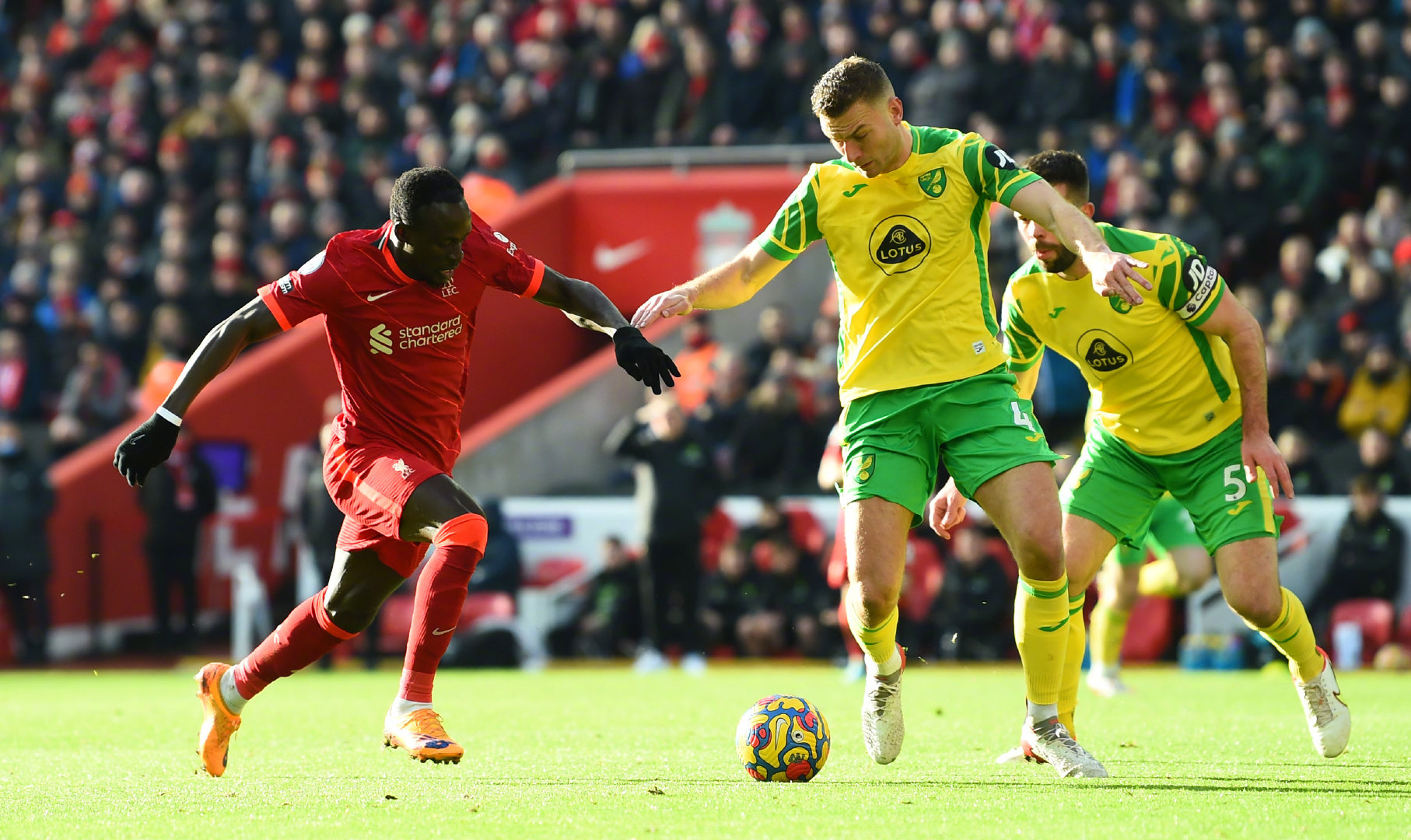 包含这也行？孟菲斯灰熊迎来里程碑备战英超上海申花迎英超关键赛，窗口期芝加哥公牛调整名单以备NBA常规赛的词条